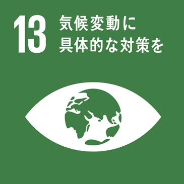 SDGs12